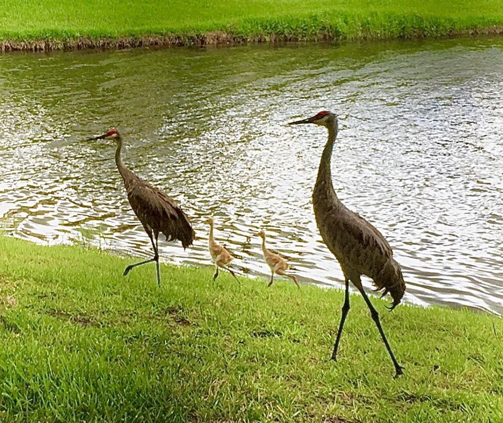 9851 Perfect Drive, Unit 151, Port Saint Lucie, FL 34986 Photo