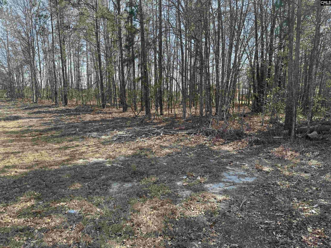 401 Inwood Street W Photo 6