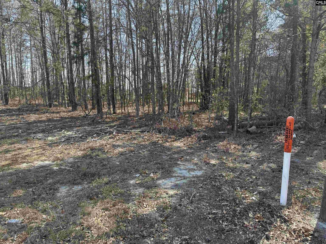 401 Inwood Street W Photo 7