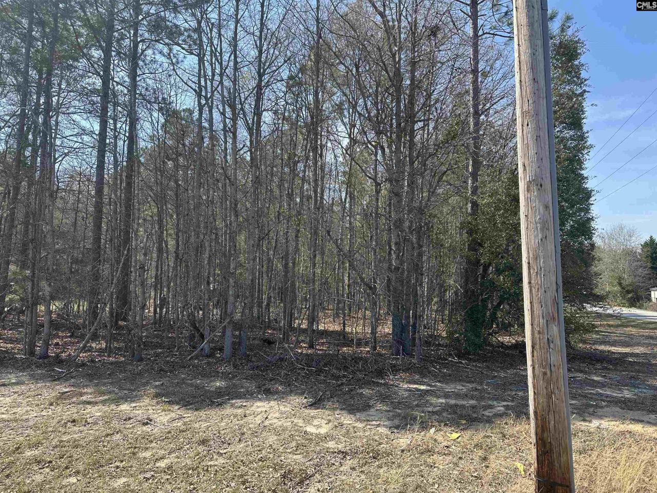 401 Inwood Street W Photo 9