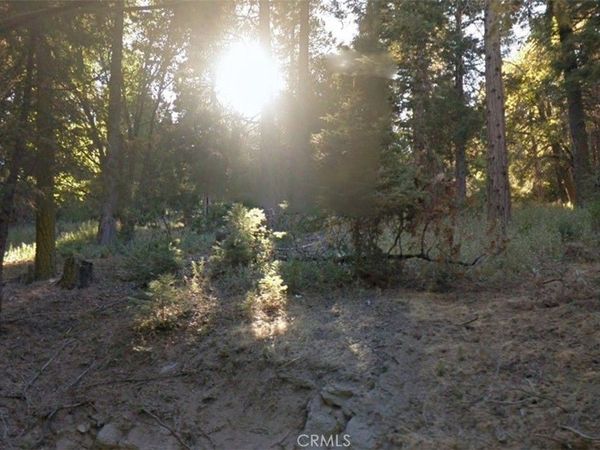 20 Burnt Mill Canyon Road, Cedarpines Park, CA 92322