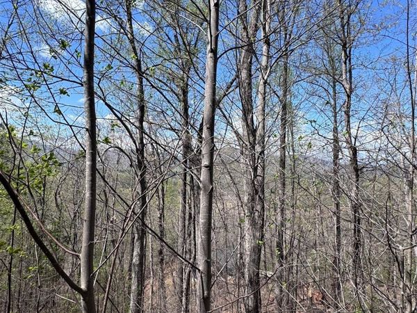 0 High Pines Loop, Lake Lure, NC 28746