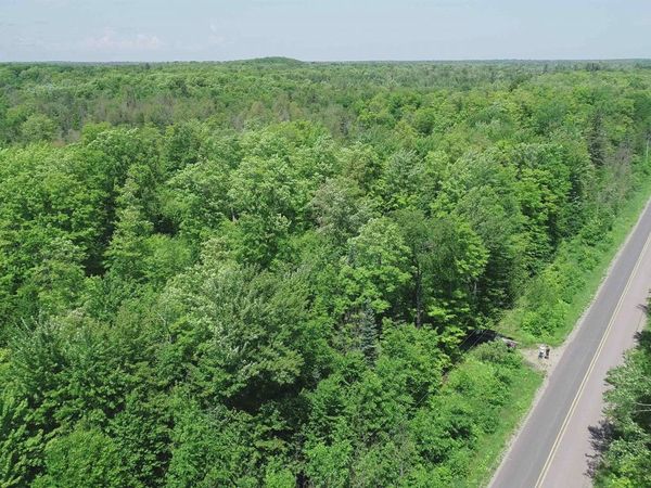 40 Acres Maple Grove Road, Skandia Twp, MI 49885
