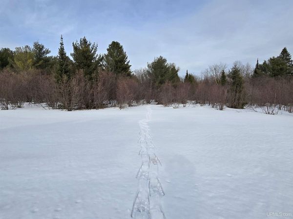 TBD M 38 Highway, Greenland Twp, MI 49929