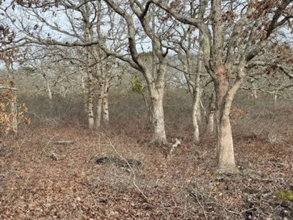 22 Bramble Path, West Tisbury, MA 02575