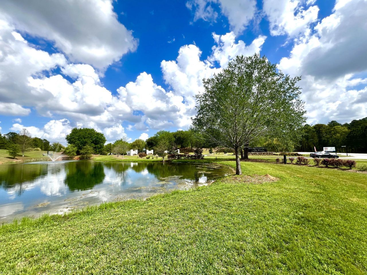 147 Twisted Oak Trail Photo 11