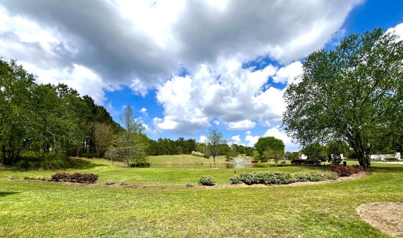 147 Twisted Oak Trail Photo 12