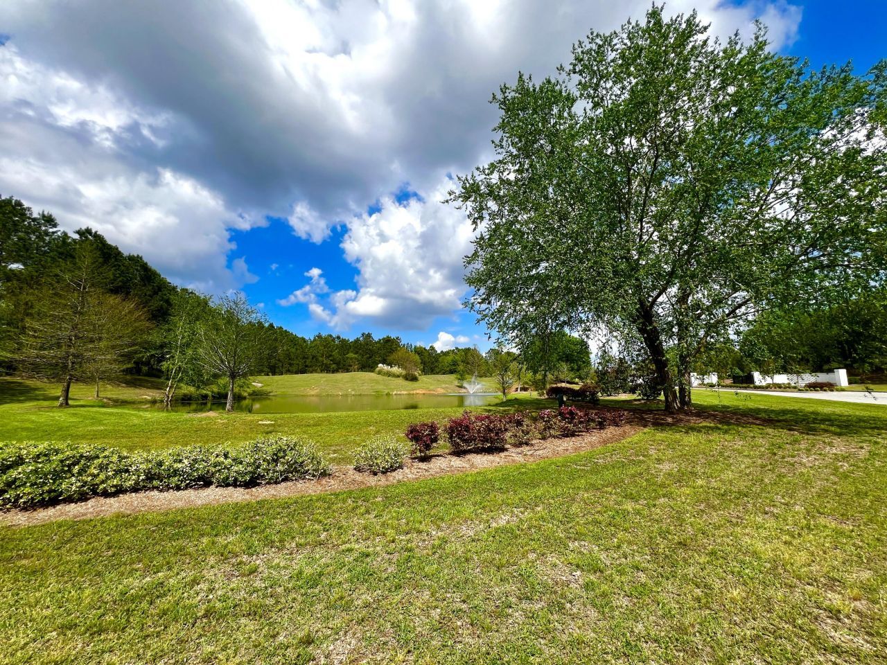 147 Twisted Oak Trail Photo 13