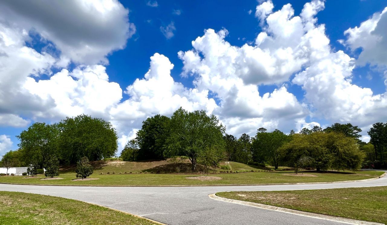 147 Twisted Oak Trail Photo 14