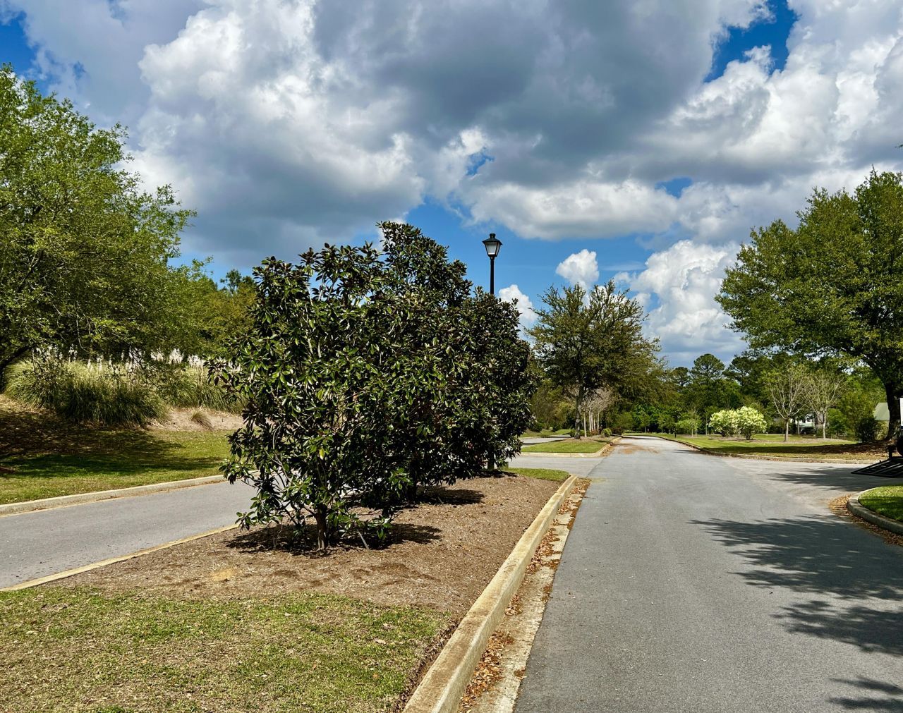 147 Twisted Oak Trail Photo 16