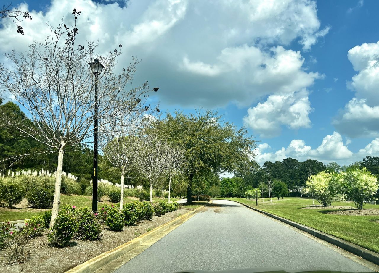 147 Twisted Oak Trail Photo 17