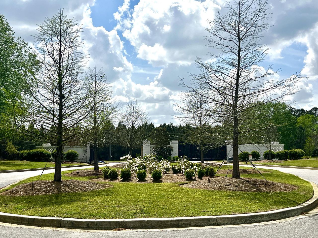 147 Twisted Oak Trail Photo 18