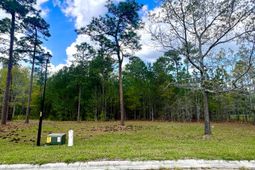 147 Twisted Oak Trail photo 4