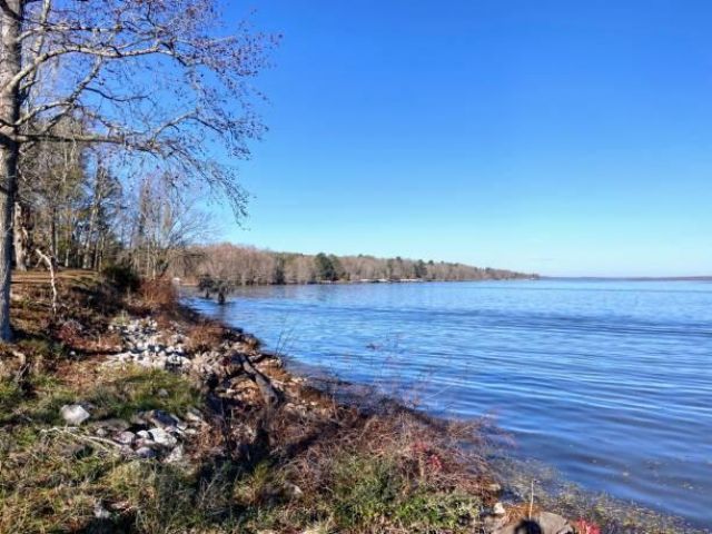 147 Twisted Oak Trail Photo 21