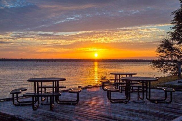 147 Twisted Oak Trail Photo 22