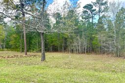 147 Twisted Oak Trail photo 4