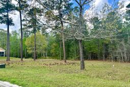 147 Twisted Oak Trail photo 4