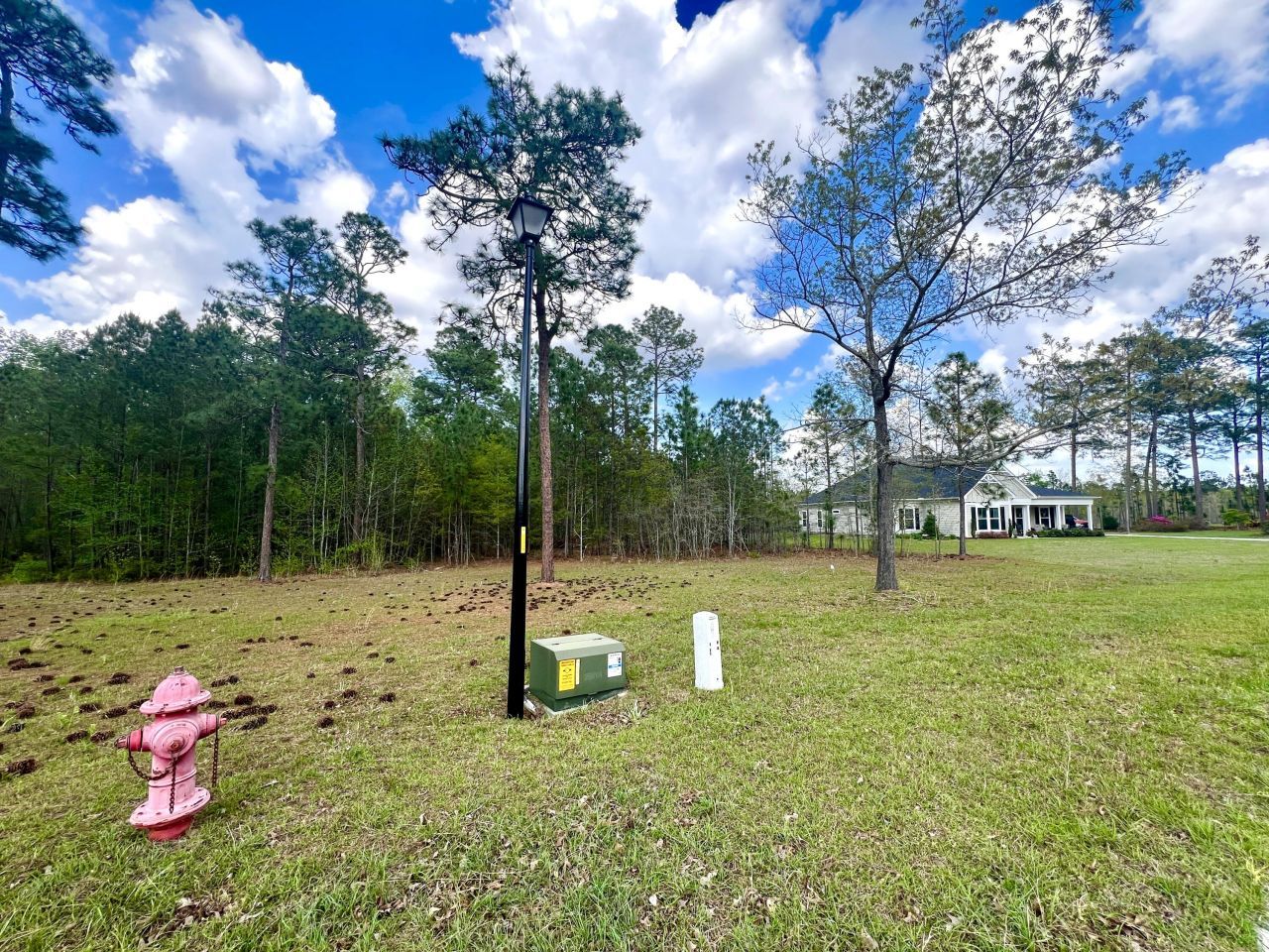 147 Twisted Oak Trail Photo 5