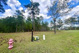 147 Twisted Oak Trail photo 4