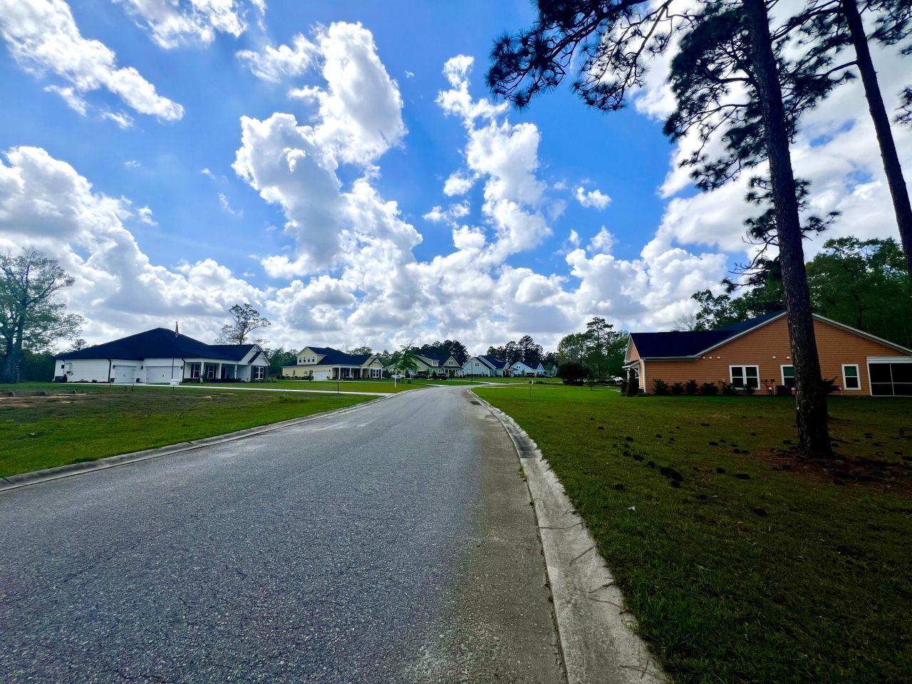 147 Twisted Oak Trail Photo 7