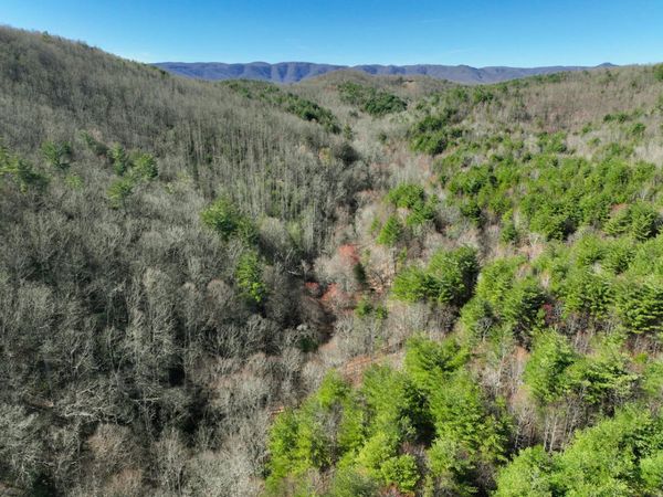 0 Willard Creek LN, Stuart, VA 24171