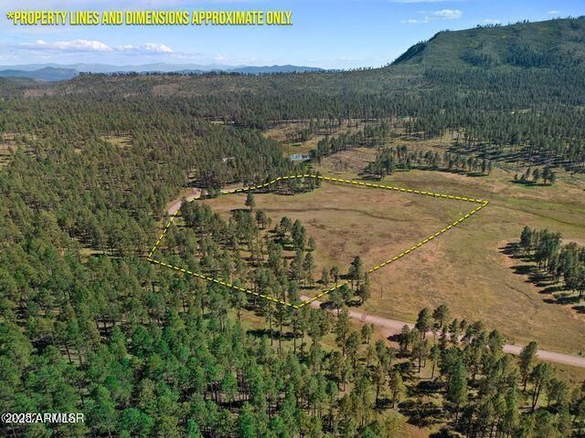 1A Forest Road 26, Alpine, AZ 85920