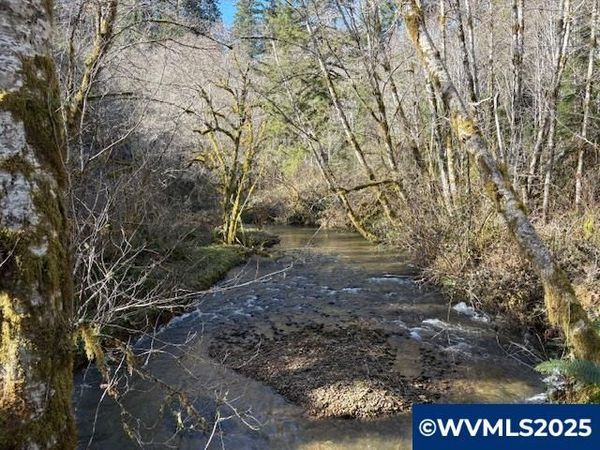 0 Steer Creek Rd, Blodgett, OR 97326