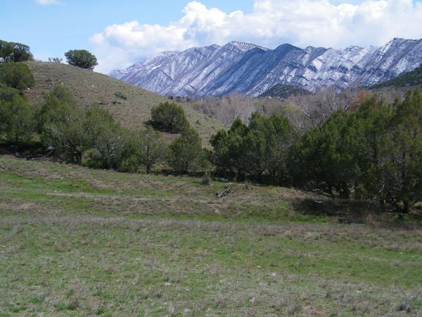 960 County Road 245, New Castle, CO 81647