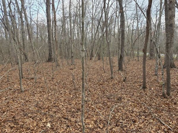 13 Pond Rd, Monterey, TN 38574