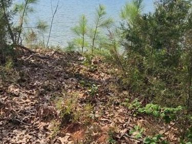 922 SKIPJACK ROAD, KINSALE, VA 22488