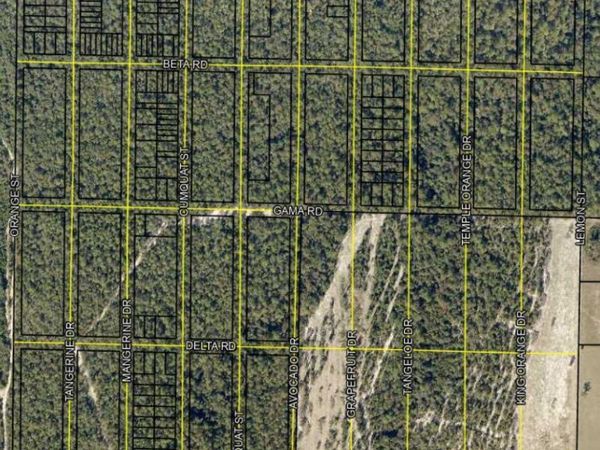 Lots 1 & 2 Dorcas Road, Crestview, FL 32539