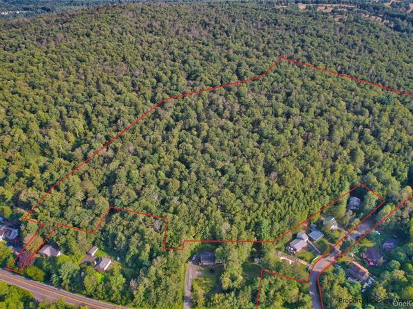 39 Birch Lane, Swan Lake, NY 12783