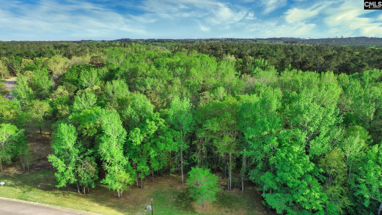 017 River Mill Way Photo 26