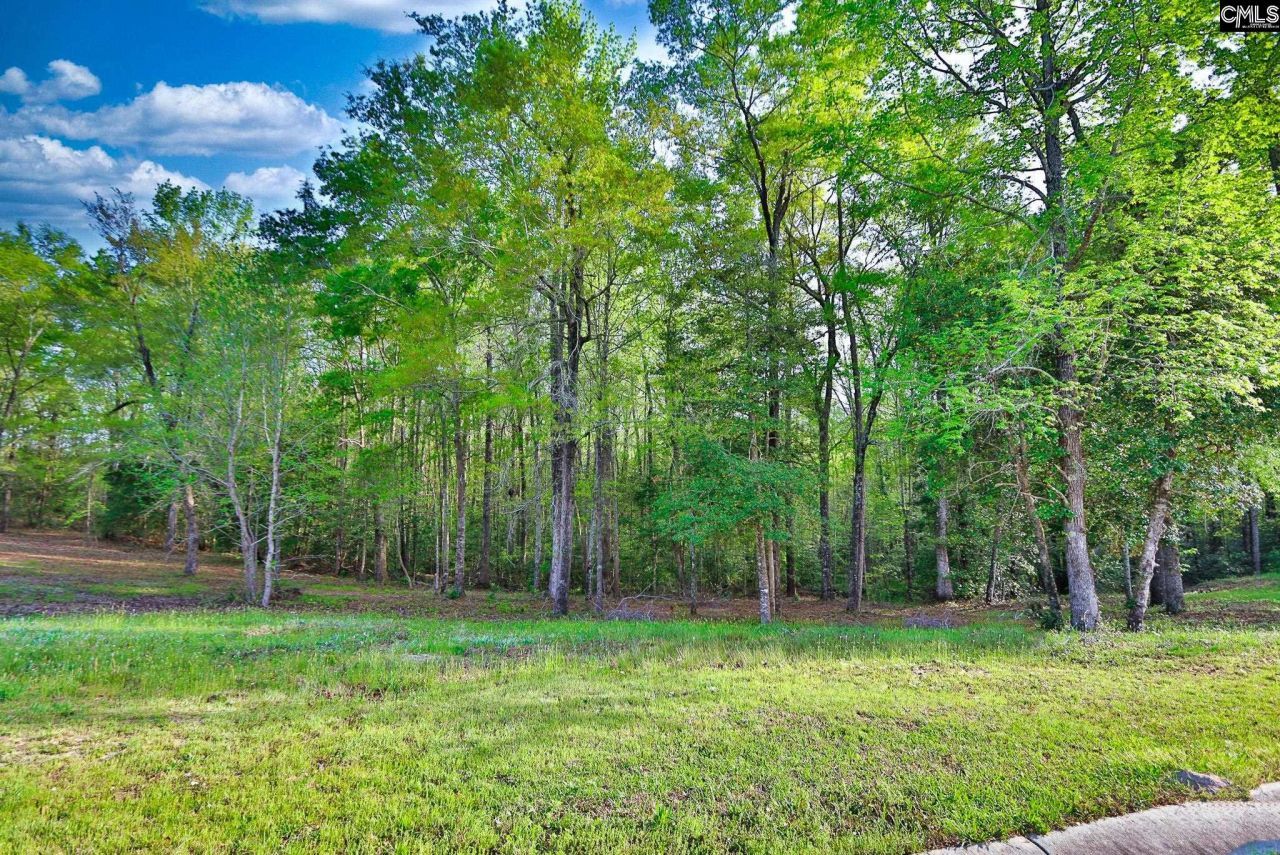 017 River Mill Way Photo 29