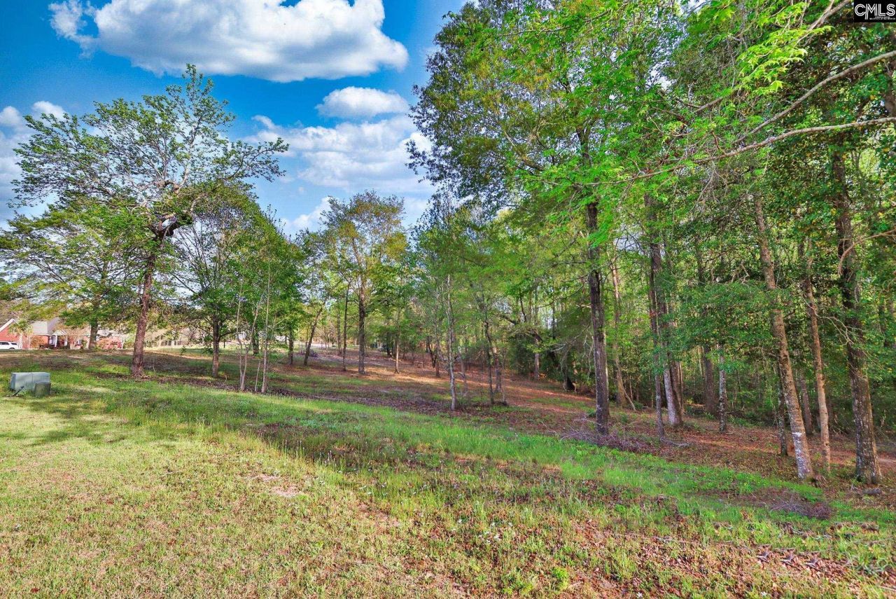 017 River Mill Way Photo 30