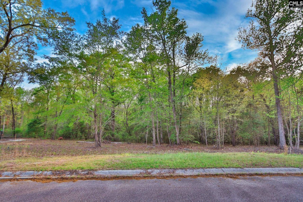 017 River Mill Way Photo 31