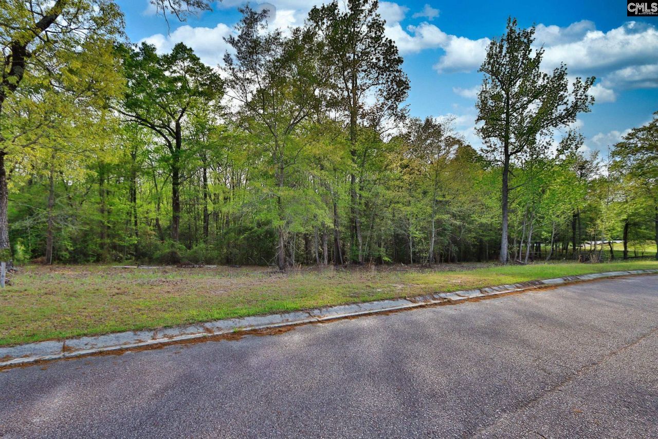 017 River Mill Way Photo 8