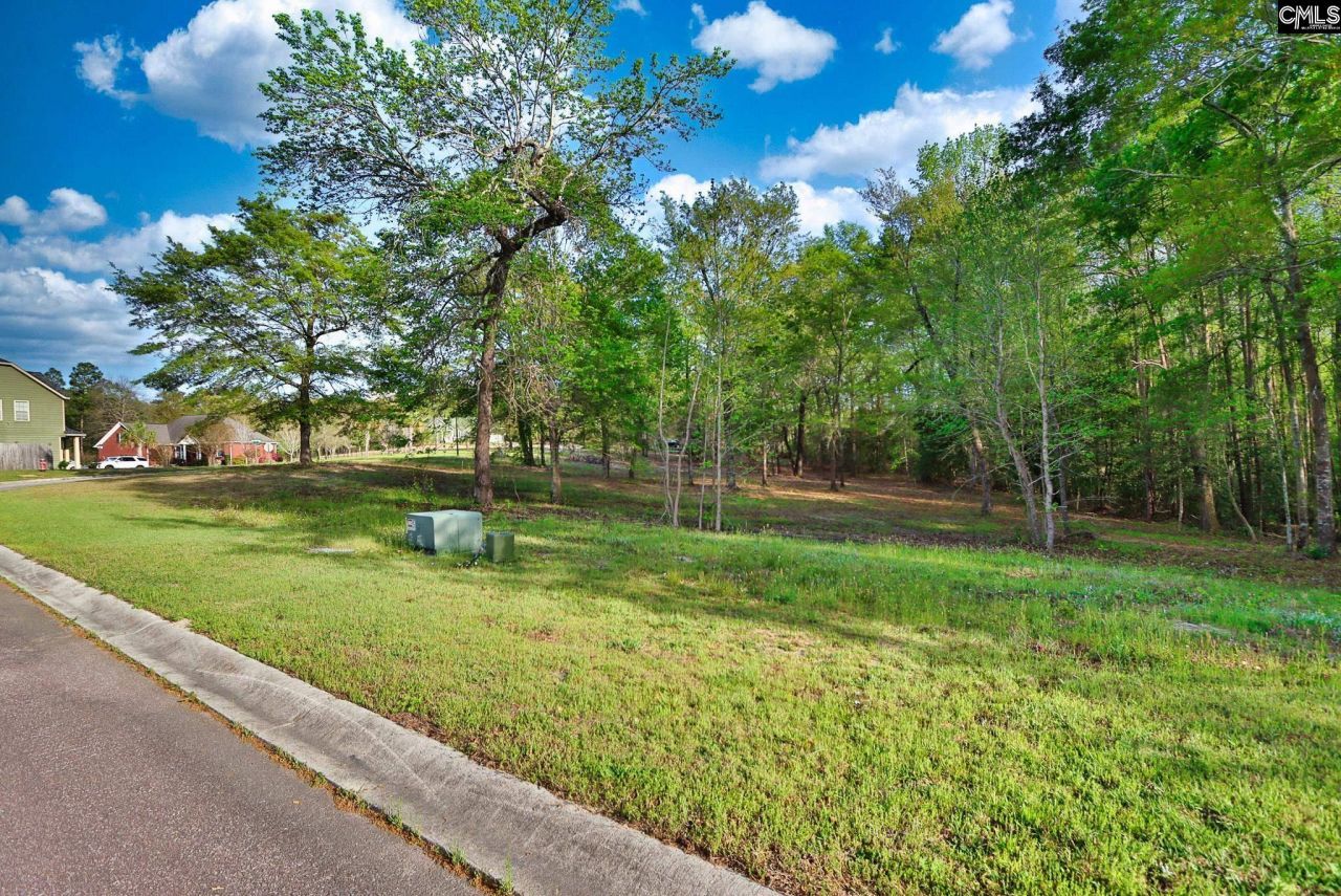 017 River Mill Way Photo 9