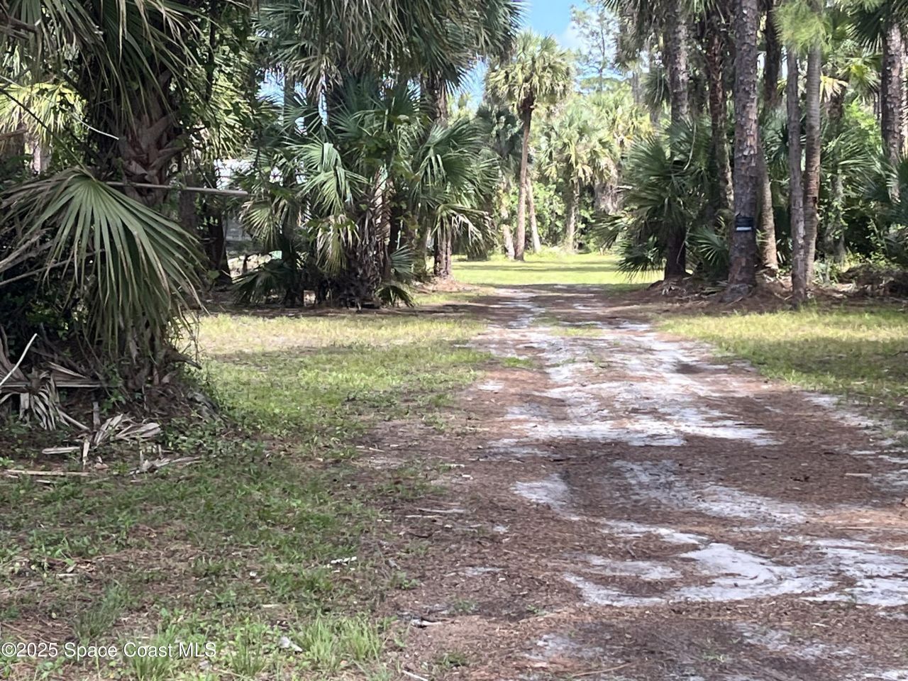 891 Hartsdale Avenue Sw, Palm Bay, FL 32908 Photo