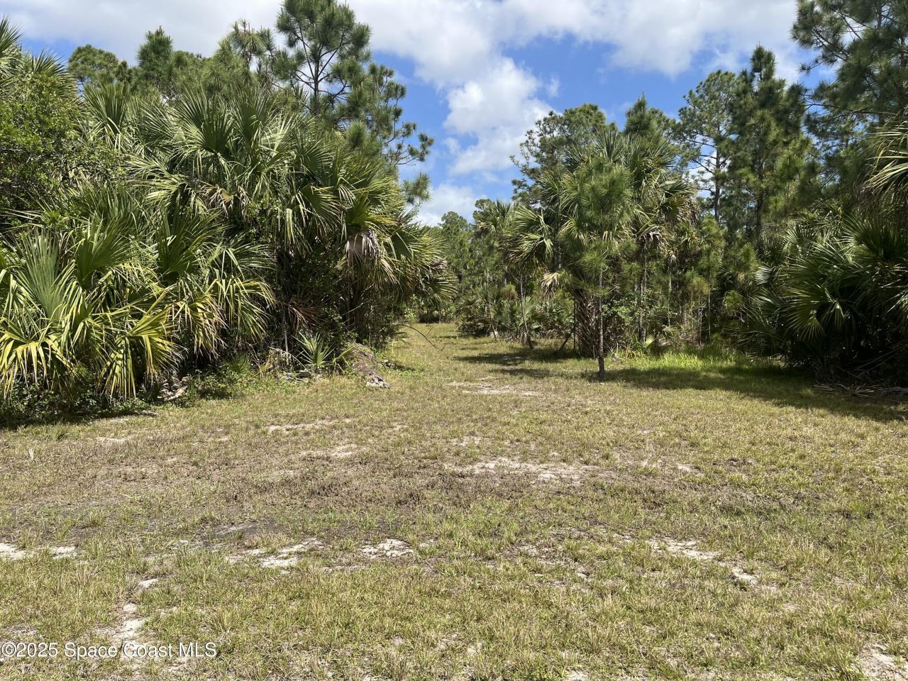 891 Hartsdale Avenue Sw, Palm Bay, FL 32908 Photo