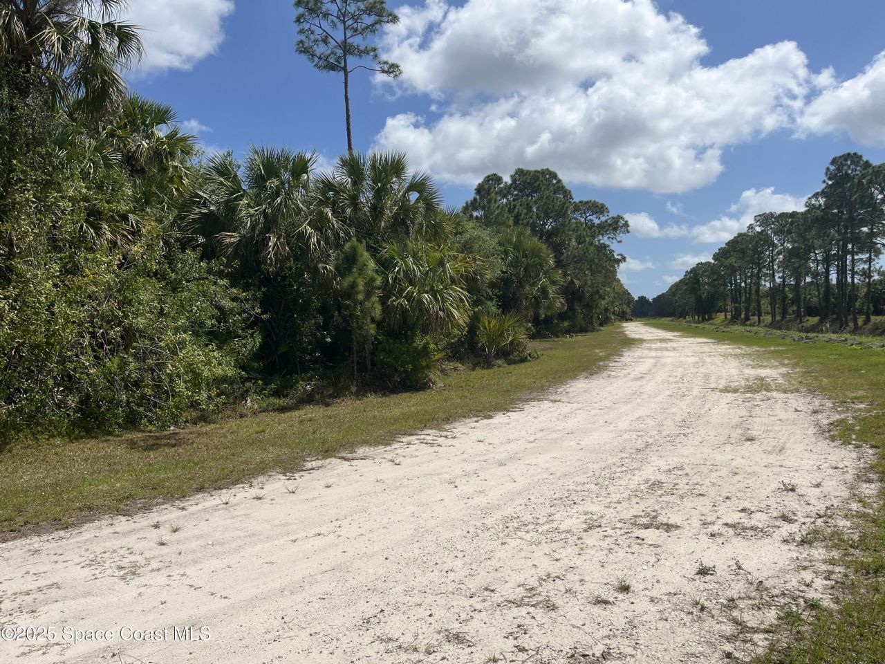 891 Hartsdale Avenue Sw, Palm Bay, FL 32908 Photo