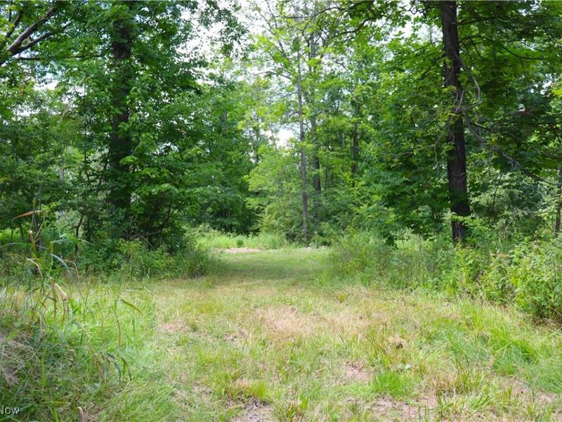 S/L 26 Overture Drive, Newbury, OH 44065 Photo 10