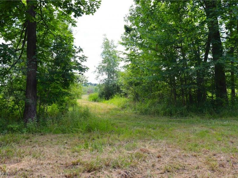 S/L 26 Overture Drive, Newbury, OH 44065 Photo 11