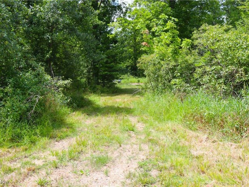 S/L 26 Overture Drive, Newbury, OH 44065 Photo 12