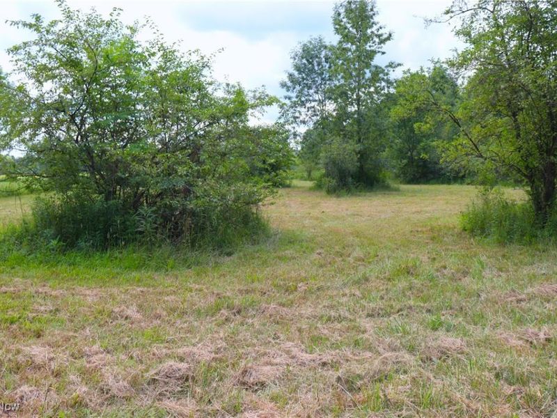 S/L 26 Overture Drive, Newbury, OH 44065 Photo 13