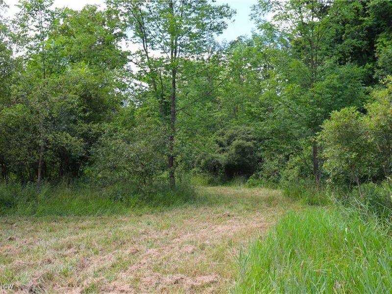 S/L 26 Overture Drive, Newbury, OH 44065 Photo 14