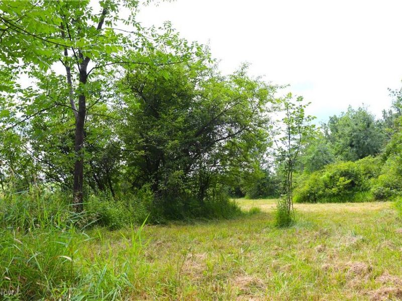 S/L 26 Overture Drive, Newbury, OH 44065 Photo 15