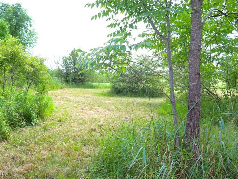 S/L 26 Overture Drive, Newbury, OH 44065 Photo 16