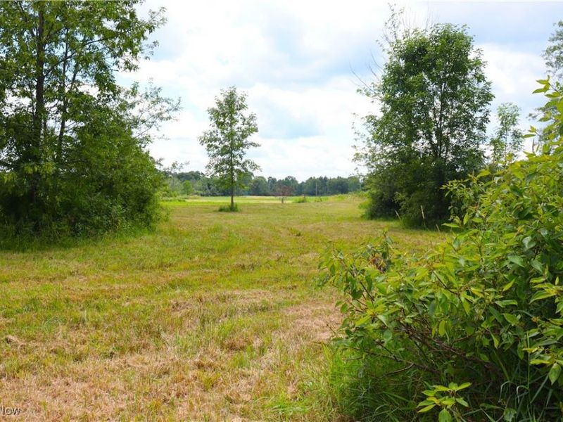 S/L 26 Overture Drive, Newbury, OH 44065 Photo 19