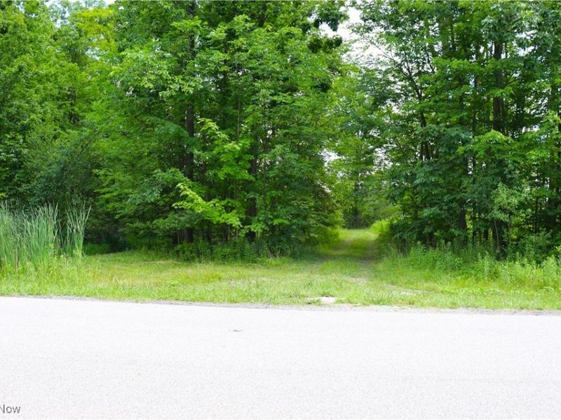 S/L 26 Overture Drive, Newbury, OH 44065 Photo 2